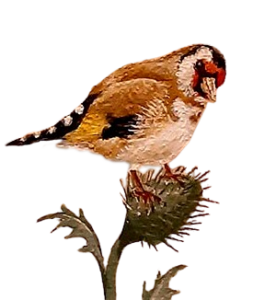 ausmalung-kirche-detail-distelfink